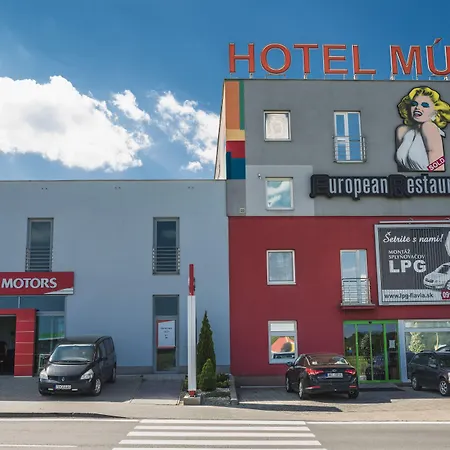 Hotel Muza 3*